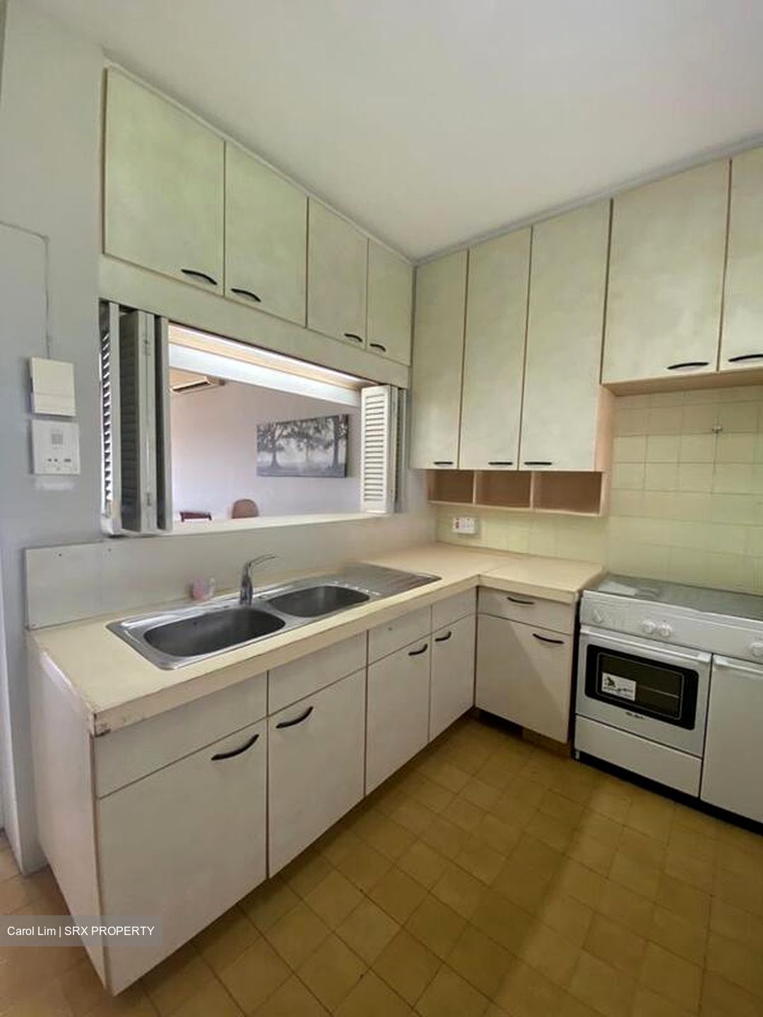 Ridgewood (D10), Condominium #449131861